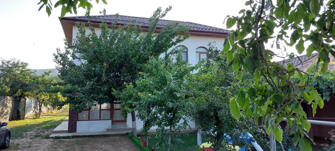 Agropensiunea Olteanu Niculitel Buitenkant foto